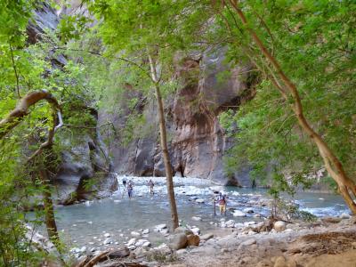 2012 グランドサークル&セドナ 10日間 (9) ザイオン~ラスベガス
