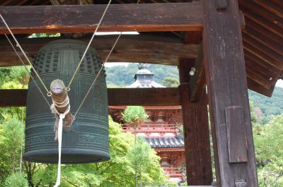 三室戸寺で見つけたもの。