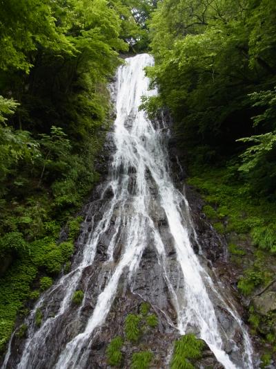 両神・長瀞川下りの旅