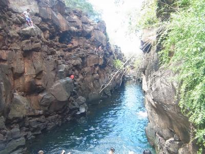 イースター・ガラパゴス旅行(9)サンタクルス島ベイ観光