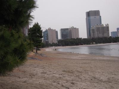 お台場海浜公園散歩