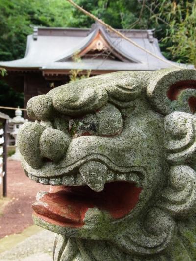梅雨の合間に修善寺へ★日枝神社は巨木がそびえるパワースポットだった！