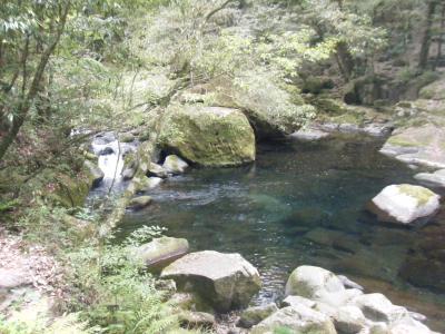 初めてのバスツアー（２）　アラフィフ夫婦旅　やまなみハイウェイ～大観峰～菊池渓谷～熊本新港