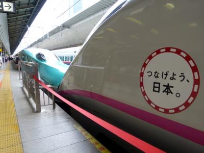 ０１．1年ぶりの東北出張　三島～東京～仙台 新幹線の移動