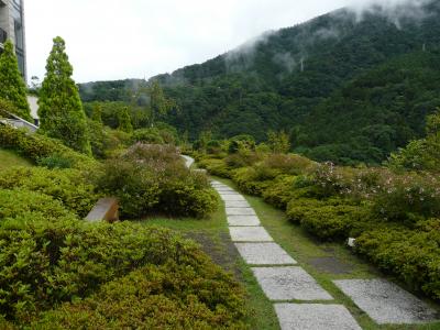 名古屋から遠い箱根の温泉を楽しんできました。