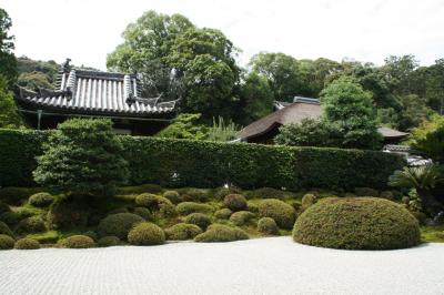 酬恩庵一休寺を訪ねて