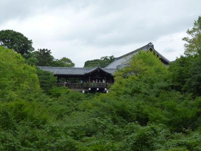 東福寺　泉涌寺　三十三間堂を回ります