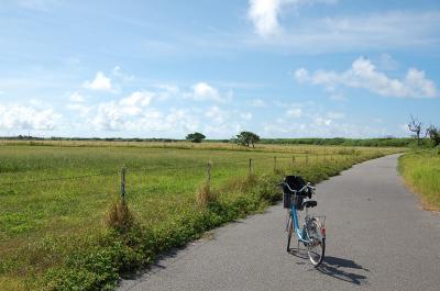 2012.7 黒島・竹富島6日間の旅① (黒島 なかた荘編)