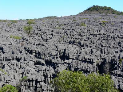 マダガスカル新婚旅行９日間【3】アンカラナ特別保護区編