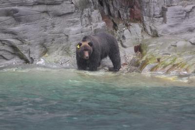 ２０１２　６月　道東自然満喫旅行記　