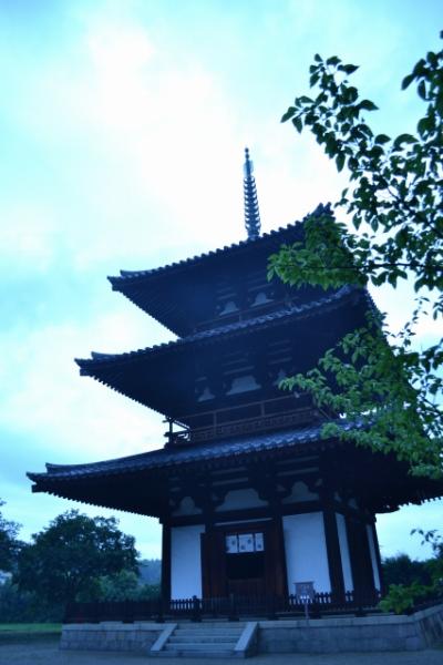 弾丸週末国内旅行 2日でめぐる~大阪・奈良・京都・滋賀旅~