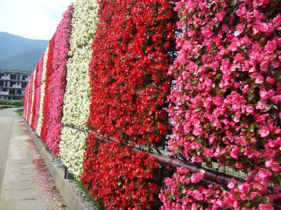 河口湖ハーブフェスティバルを廻る