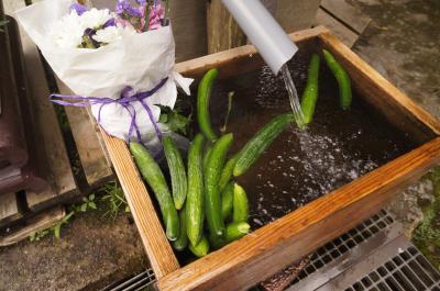 歩く!木曽路④上松宿~須原宿