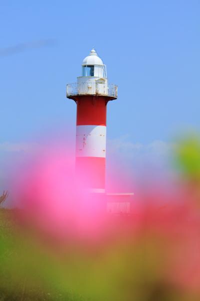 石狩はまなすの丘公園で