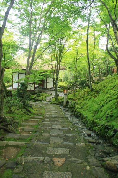 夏の京都　～常寂光寺、大河内山荘庭園～