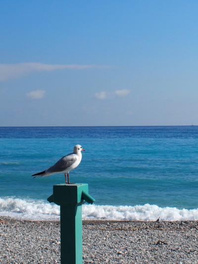 マントン +ニースからの日帰り旅+