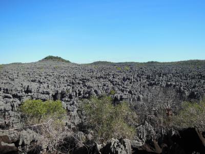 Honeymoon to Madagascar ☆ ハネムーンはマダガスカル ②ツィンギートレッキング！