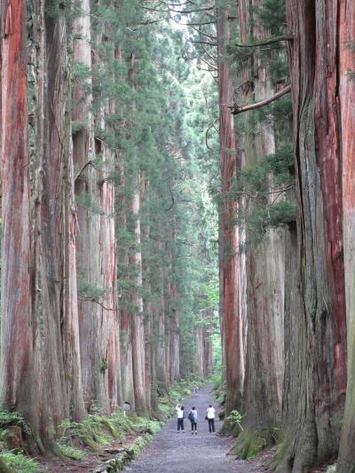 戸隠で杉並木やお蕎麦に感動！（信州旅行１日目）