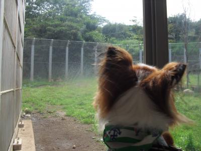 夏の前に伊豆旅行