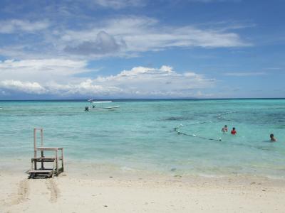 ボルネオ島旅行（リバーサファリ、マンタナニ島他）