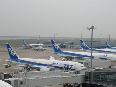 蒼い牽牛と星空の羽田空港