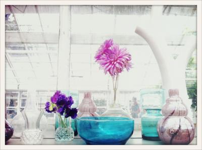 初夏の北欧　ヘルシンキ＆ストックホルムの旅　(ストックホルム編2)