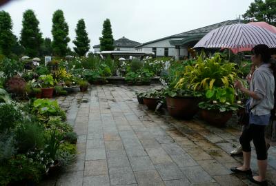 琵琶湖・博物館と植物園