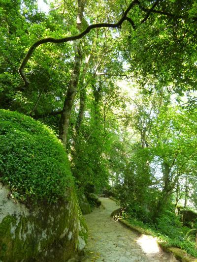 優雅なポルトガル旅・憧れのマデイラ島でバカンス♪　Ｖｏｌ２０（第２日目午後）　☆シントラ：ムーア城から森の中の素敵な遊歩道を歩いてシントラへ♪