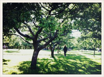 初夏の北欧　ヘルシンキ＆ストックホルムの旅　(ストックホルム編3)