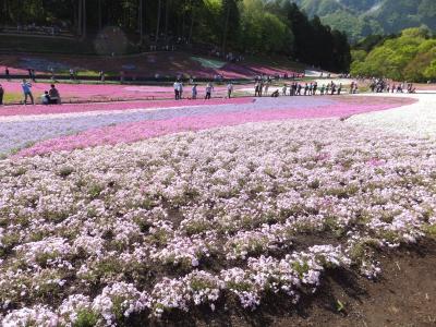 2012.05.05羊山公園