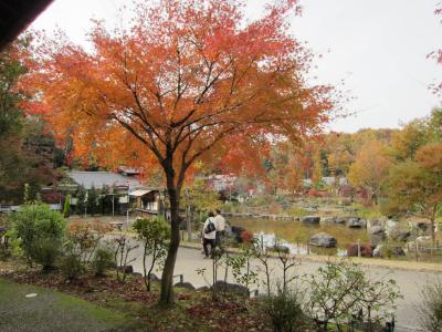 お得に遊べた　日本昭和村＆里山の湯