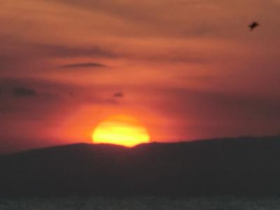 暑い夏は北海道・大間より上陸