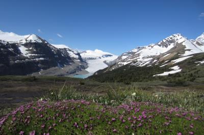 Air CanadaでCalgaryへ／レンタカーで巡るカナディアンロッキー 一人旅(6) Parker Ridge/Bow Glacier Falls