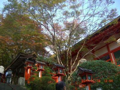 貴船・鞍馬寺・大原の里を巡るバスツアー