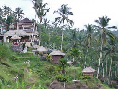 ⑥11時間カーチャーターでウブドへ(バリ島 de 20日間)