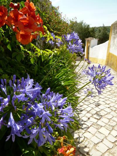 優雅なポルトガル旅・憧れのマデイラ島でバカンス♪　Ｖｏｌ４３（第４日目午前）　☆オビドス：美しい花で彩られたオビドスを眺めて♪