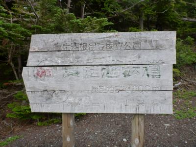 【ハイキング】富士山：精進湖登山道　奥庭～一合目.