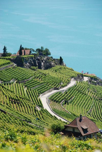 スイス／イタリア旅行2012　②　　レマン湖の湖畔でお散歩