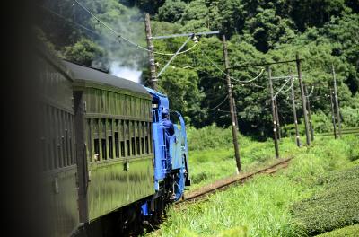 大井川鐵道の青い蒸気機関車に乗って