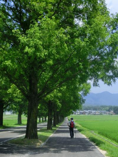 暑い夏は高い山に登ろう　～　真夏日の大谷山登山　～