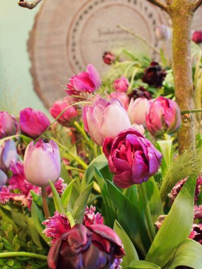 キューケンホフ +パリからの4カ国周遊の旅+