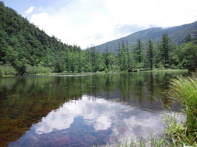 山岳リゾート上高地　　美しい自然　ホタルと満天の星