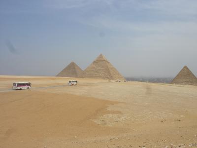 まさかこの時期にエジプトとは！