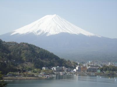 ＊山梨＊　河口湖畔で富士山を眺めよう♪～咲いていなかった富士芝桜まつり～　2011.5.3～5.4