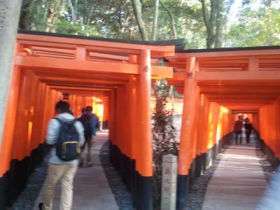 修学旅行以来の京都