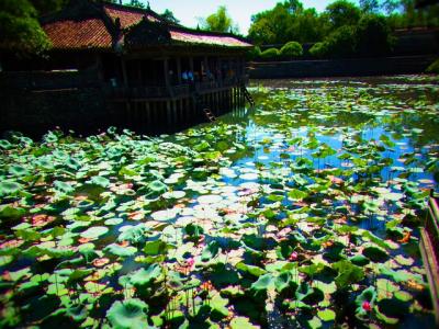 真夏のベトナム北＆中部６日間の旅《2》