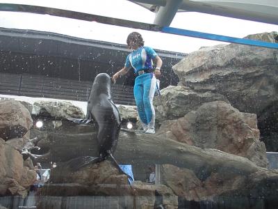 京都水族館と西本願寺へ