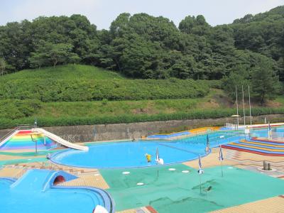 愛知こどもの国☆３つのプールとスライダー　三河リゾートリンクス「チェンフォン」で中華バイキング