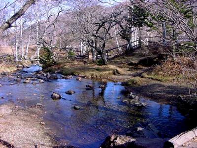 上高地散策・・・１１年前の山岳ドライブから