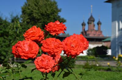 ロシアの世界遺産No.８：バラが咲き誇る「黄金の環」のヤロスラーヴリ